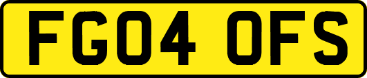FG04OFS