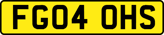 FG04OHS
