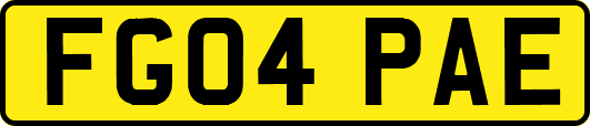 FG04PAE
