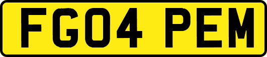 FG04PEM