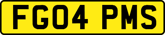 FG04PMS