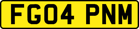 FG04PNM