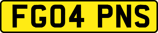 FG04PNS