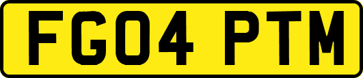 FG04PTM