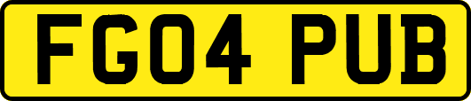 FG04PUB