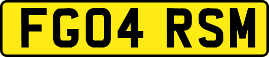 FG04RSM