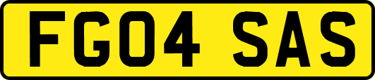 FG04SAS