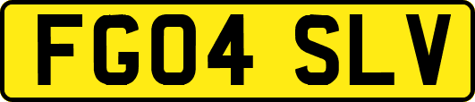 FG04SLV