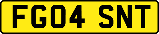 FG04SNT