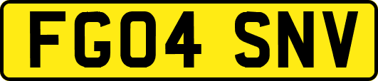 FG04SNV