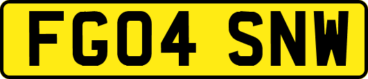 FG04SNW