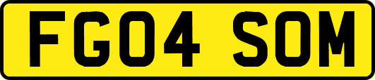 FG04SOM