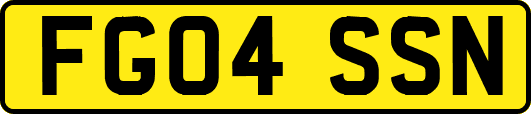 FG04SSN