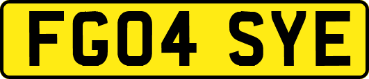 FG04SYE