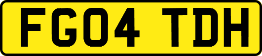 FG04TDH