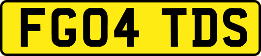 FG04TDS