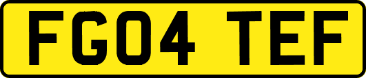 FG04TEF