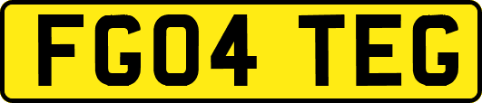 FG04TEG