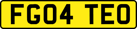 FG04TEO