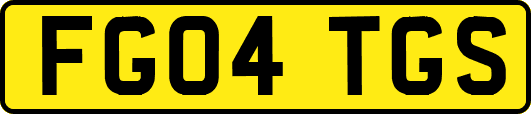 FG04TGS