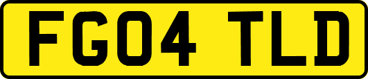 FG04TLD