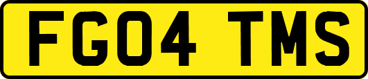 FG04TMS