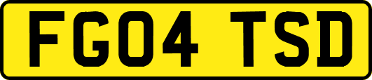 FG04TSD