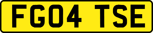 FG04TSE