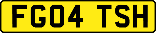 FG04TSH