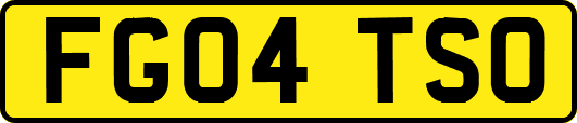 FG04TSO