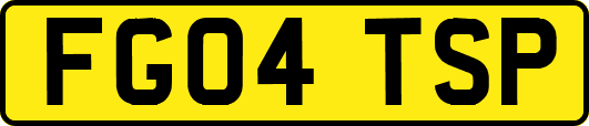 FG04TSP