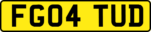 FG04TUD