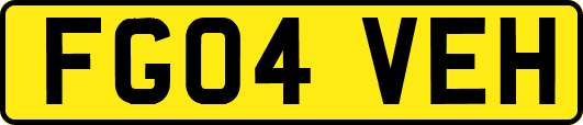 FG04VEH