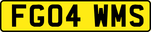 FG04WMS