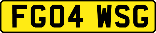 FG04WSG