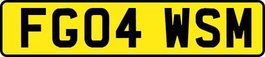 FG04WSM
