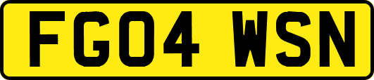 FG04WSN