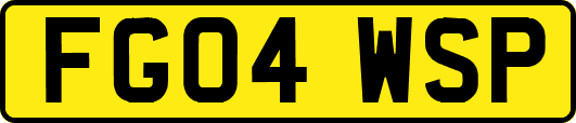 FG04WSP
