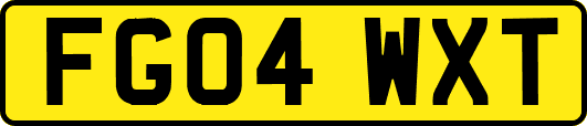 FG04WXT