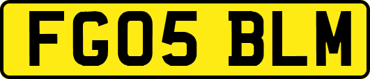 FG05BLM