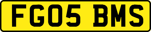 FG05BMS
