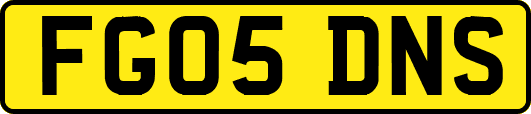 FG05DNS