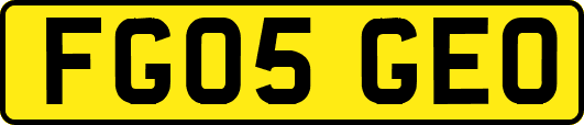 FG05GEO