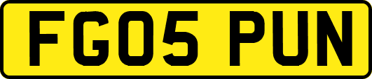 FG05PUN