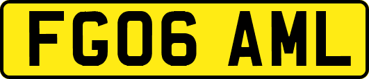 FG06AML