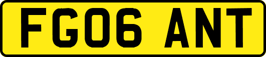FG06ANT