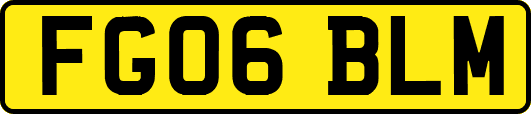FG06BLM