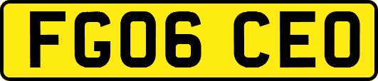 FG06CEO