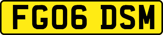 FG06DSM