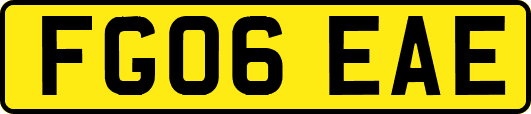 FG06EAE